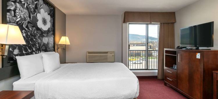 品质酒店及套房(Quality Inn & Suites)图片