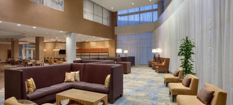 希尔顿酒店-BWI机场(Hilton Baltimore BWI Airport)图片