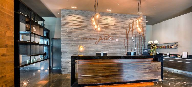 希尔顿花园酒店-阿瓜斯卡连特斯(Hilton Garden Inn Aguascalientes)图片