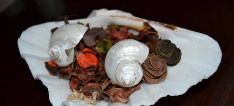 伊利亚奇泰德公寓(Iliahtides)图片