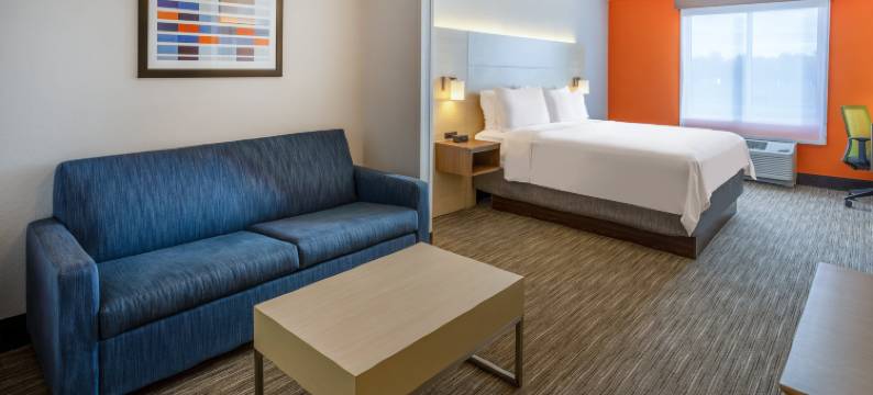 智选假日套房酒店索尔兹伯里 - 德尔玛(Holiday Inn Express & Suites SALISBURY - DELMAR by IHG)图片