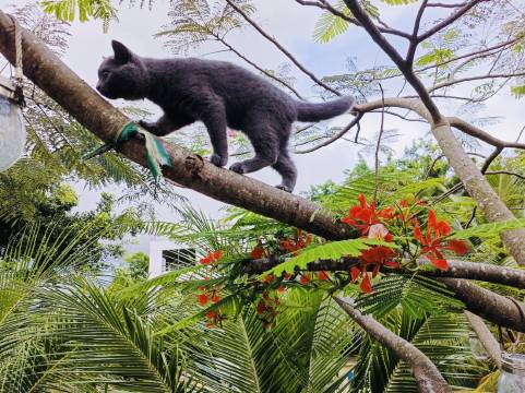 花筑·榕树下的院子(富力海洋文化城店)图片