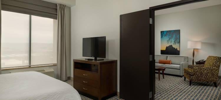 凤凰城机场北希尔顿花园旅馆(Hilton Garden Inn Phoenix Airport North)图片
