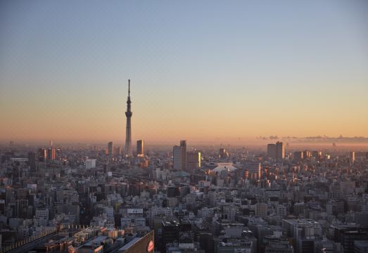 Mandarin Oriental Tokyo Hotel Overview