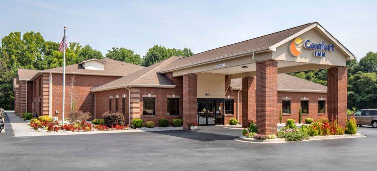 舒适酒店(Comfort Inn Near Downtown & Blue Ridge Pkwy)图片