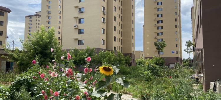 汤圆民宿(陵园街2号分店)图片