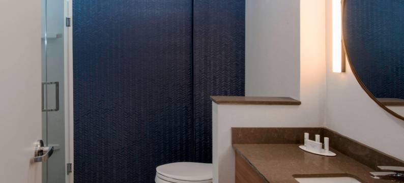 金斯顿万枫酒店及套房(Fairfield Inn & Suites Kinston)图片