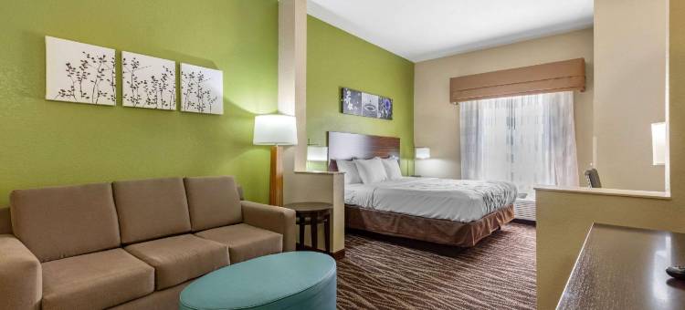 安眠套房酒店-米尔布鲁克/普拉特维尔(Sleep Inn & Suites Millbrook - Prattville)图片