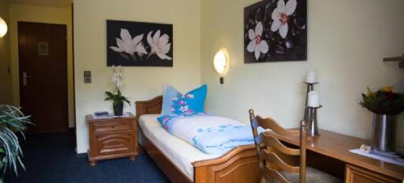 祖尔布吕克酒店(Hotel Zur Brucke)图片