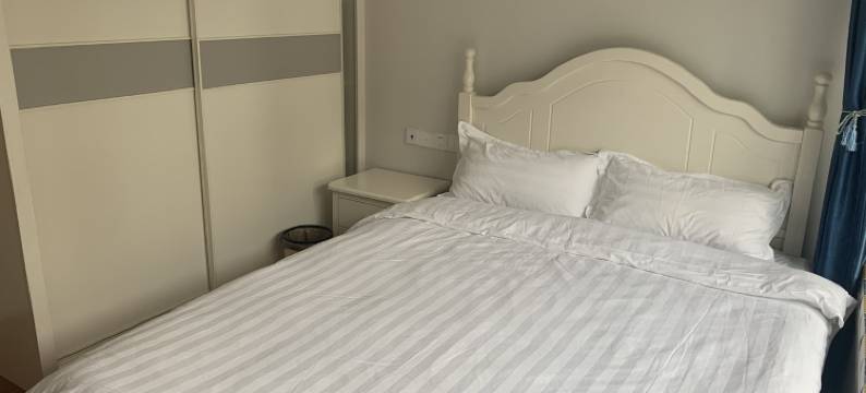 房东小侠公寓(日内瓦大道分店)图片