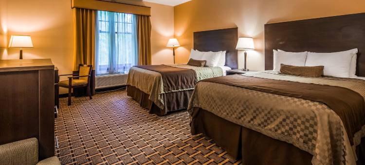 贝斯特韦斯特普勒斯瀑布旅馆&套房酒店(Best Western Plus the Inn  Suites at the Falls)图片