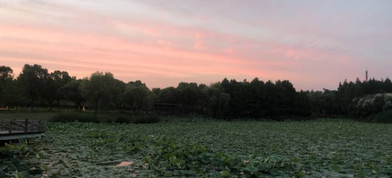 房东落霞公寓(唯正路1号分店)图片