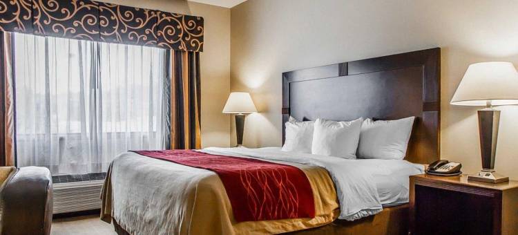 舒适套房酒店 - 近路易斯维尔湖(Comfort Inn & Suites Near Lake Guntersville)图片