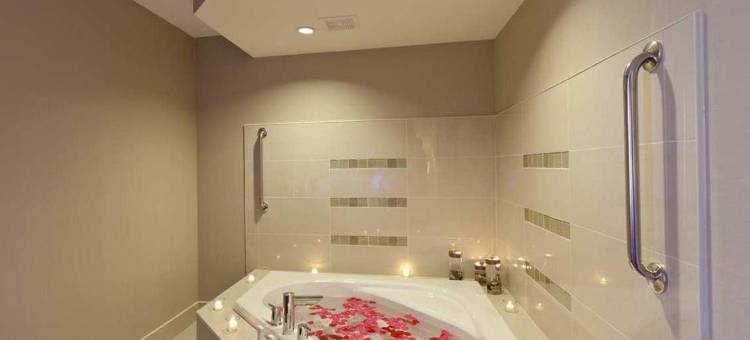 多伦多布兰普顿希尔顿花园旅馆(Hilton Garden Inn Toronto/Brampton)图片