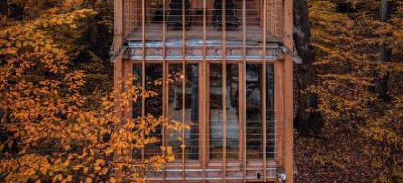 TreeHouses Noszvaj图片