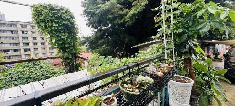 翎棉花民宿(金色大道分店)图片