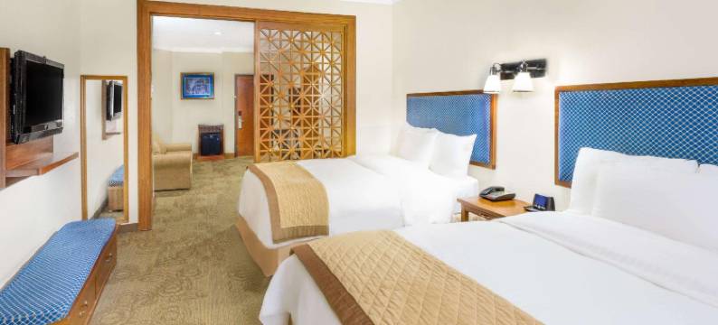 温德姆花园酒店-新奥尔良巴罗纳广场(Wyndham Garden Baronne Plaza New Orleans)图片