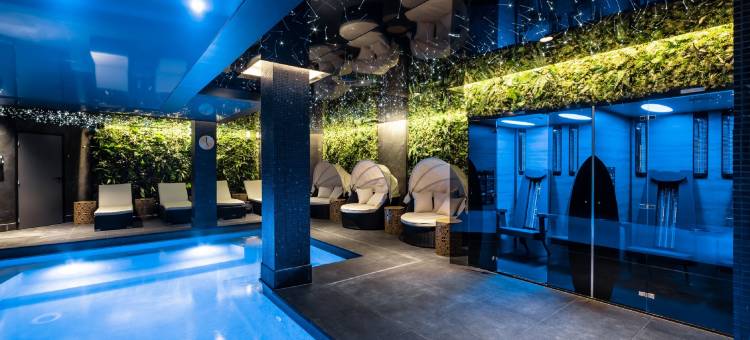 斯特拉斯堡中央花园洲际酒店集团旗下voco® 酒店(voco Strasbourg Centre - the Garden)图片