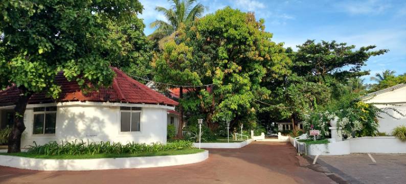 天使度假酒店(Angels Resort)图片