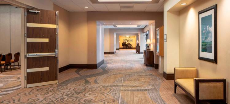 休斯顿布鲁克霍洛喜来登酒店(Sheraton Houston Brookhollow Hotel)图片