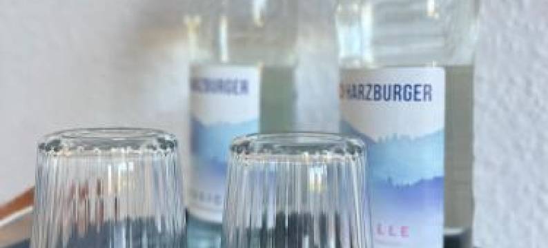 Larooms Merseburg - Apartment NS01 - 2 Zimmer - 4 Betten - Waschmaschine - Parkplatz图片