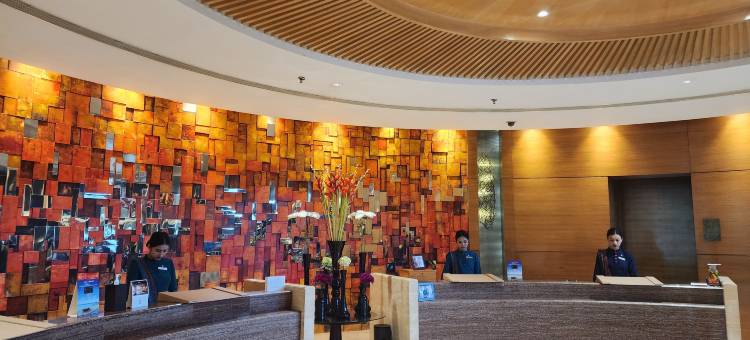 JW万豪昌迪格酒店(JW Marriott Hotel Chandigarh)图片