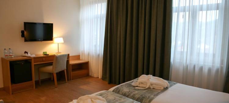 曼泰加什因娜酒店(Inatel Manteigas)图片