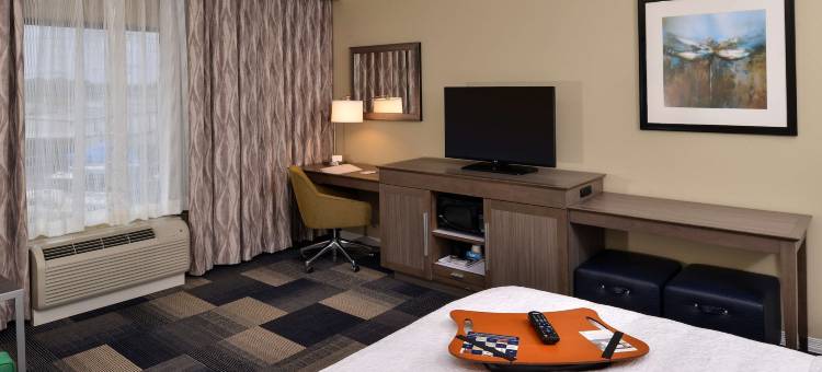 布鲁萨尔拉斐特欢朋酒店(Hampton Inn Broussard-Lafayette Area)图片