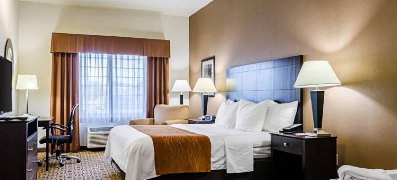 舒适套房酒店-劳伦斯大学城(Comfort Inn & Suites Lawrence - University Area)图片