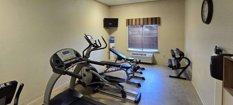 舒适套房酒店(Comfort Inn & Suites)图片