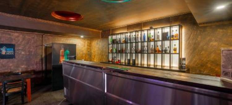 Treebo Seagate图片