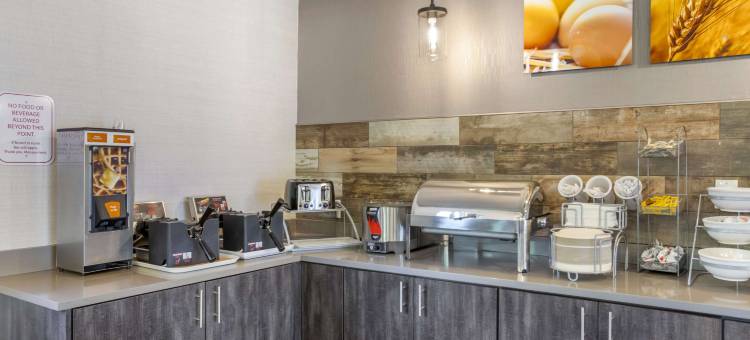 纳什维尔机场舒适套房 - BNA(Comfort Suites Nashville Airport - Bna)图片