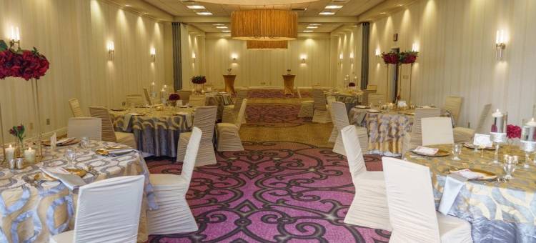 新奥尔良市区超圆屋顶体育场假日酒店(Holiday Inn New Orleans-Downtown Superdome)图片