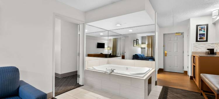 舒适酒店及套房纳什维尔 靠近Tanger Outlets I-24 安提阿克(Comfort Inn & Suites Nashville Near Tanger Outlets I-24 Antioch)图片