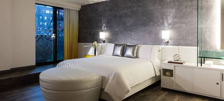 纽约时代广场万丽酒店(Renaissance New York Times Square Hotel)图片