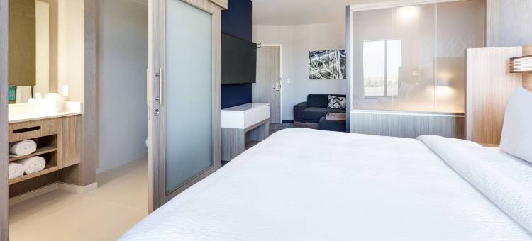 达拉斯曼斯费尔德万豪SpringHill Suites酒店(SpringHill Suites Dallas Mansfield)图片