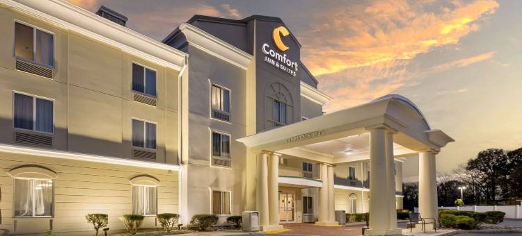 舒适套房酒店(Comfort Inn & Suites Carneys Point)图片
