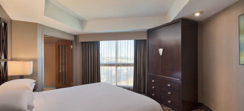 达拉斯弗赖拉辛希尔顿安泊水疗酒店&会议中心(Embassy Suites by Hilton Dallas Frisco Hotel & Convention Center)图片