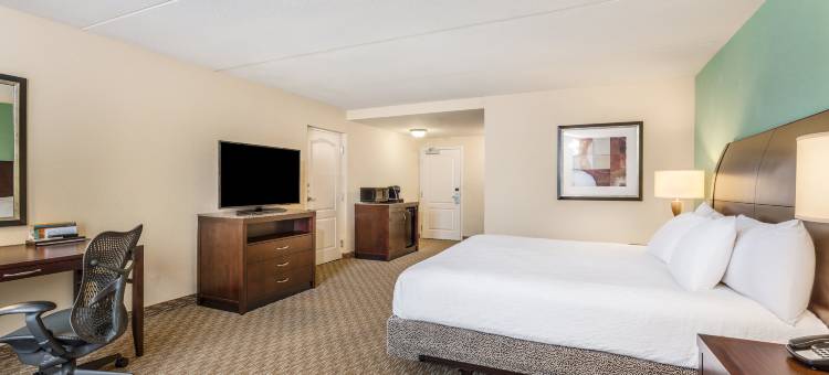 盖恩斯维尔希尔顿花园酒店(Hilton Garden Inn Gainesville)图片