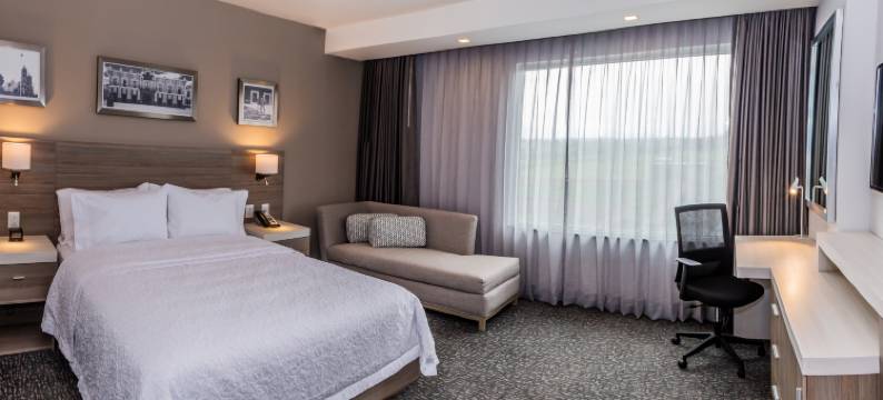 普埃布拉希尔顿欢朋套房酒店(Hampton Inn & Suites by Hilton Puebla)图片