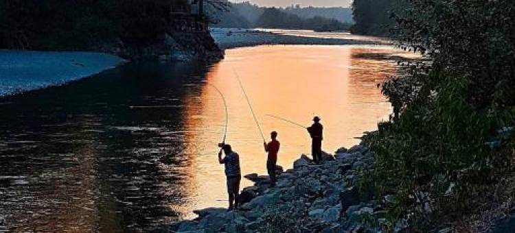 Garden House Near Heritage Park-Coliseum -Hwy 1-Fishing-Cultus Lake图片