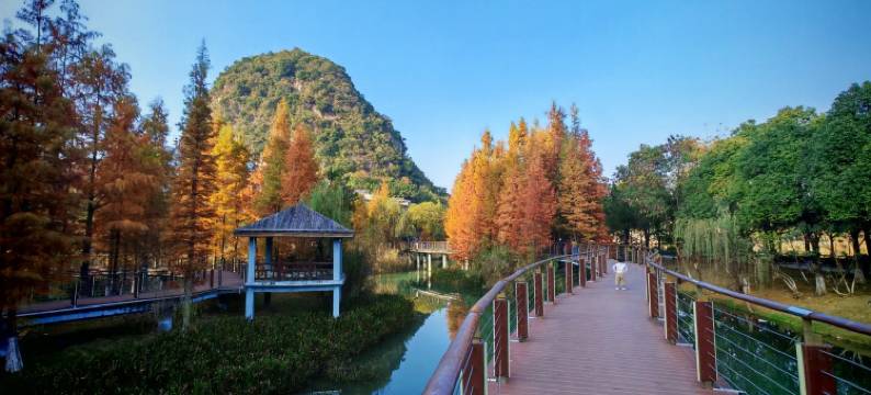 靖西山水禅居庆姐姐公寓(幸福路1号分店)图片