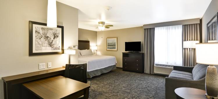 Homewood Suites by Hilton-凤凰城坦佩ASU区(Hws Phoenix Tempe ASU Area)图片