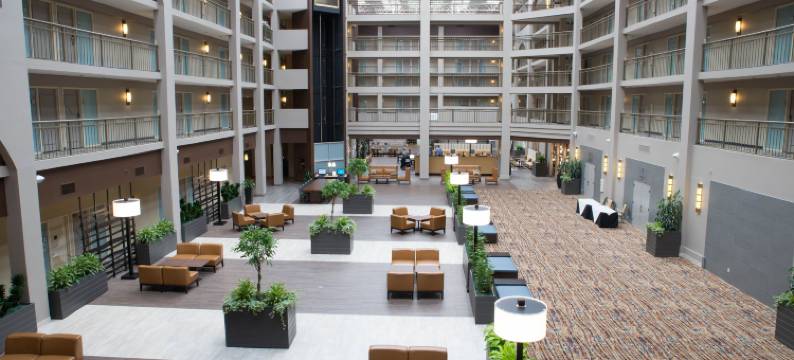 西雅图贝尔维尤希尔顿希尔顿安泊酒店(Embassy Suites by Hilton Seattle Bellevue)图片