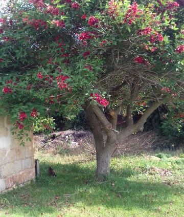 dependance in villa in Salento (Ugento) just minutes from the sea Hotel Overview