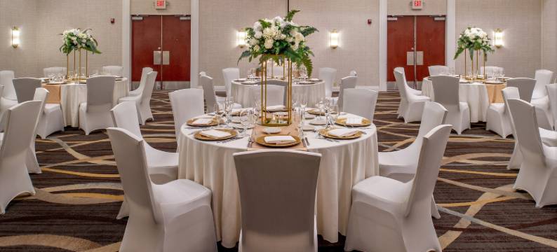 柯林斯威尔圣路易斯希尔顿逸林酒店(DoubleTree by Hilton Collinsville - St. Louis)图片