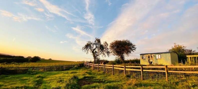 The Hut on the Hill - hottub, heating & stable.图片