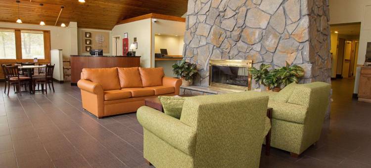 舒适酒店及套房锡拉丘兹-凯瑞尔圈(Comfort Inn & Suites Syracuse-Carrier Circle)图片