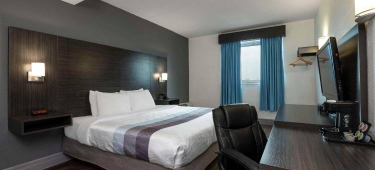 舒适酒店(Comfort Hotel)图片