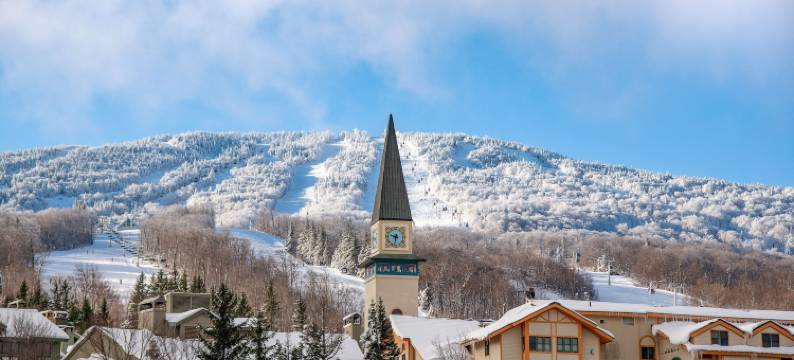 史特拉顿山长路屋度假村(Long Trail House Condominiums at Stratton Mountain Resort)图片